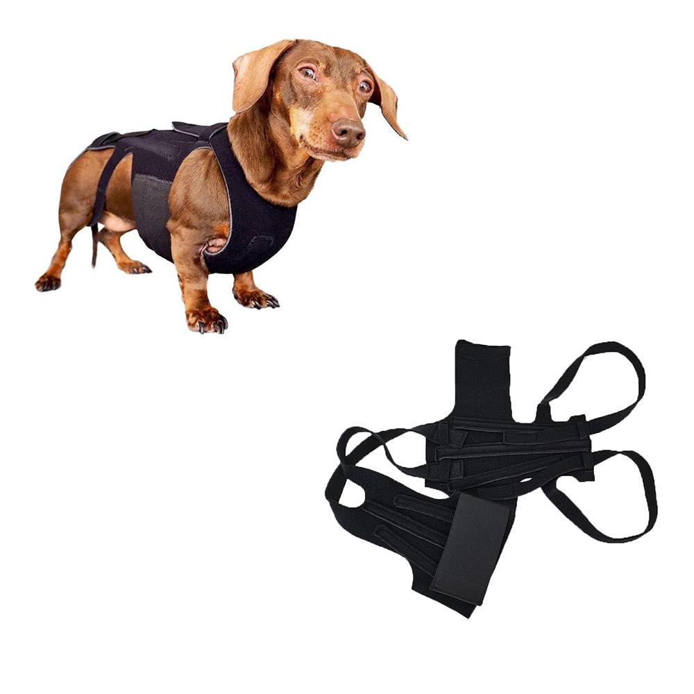 Dog Back Support for dogs with IVDD,Back Bracer Black S/M/L