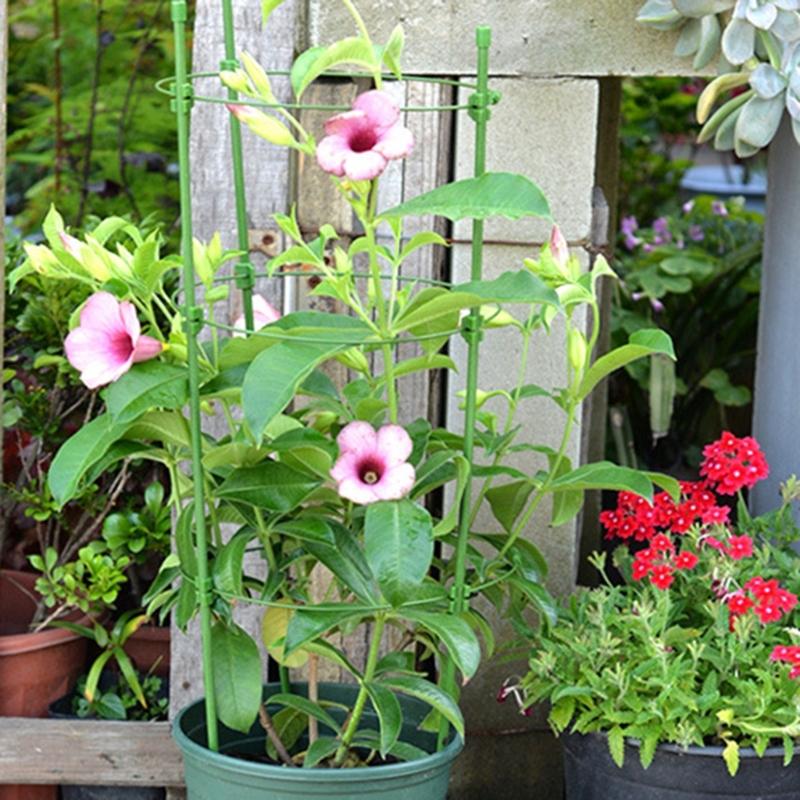 4pcs/set Plant Trellis Decorative Climbing Bracket Gardening Accessory for Garden Yard Flower Plant Gardening Supplies