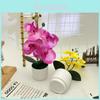 Butterfly Orchid Synthetic Flower With Silk And Plastic Materials For Indoor Events And Photography