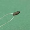 Quick Change Beads Terminal Bead Line Holder Trough Fishing Feeder Fishing Rigs Connector Bead
