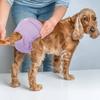 1 Stück Hochabsorbierende Welpenwindeln Verstellbare Haustierhöschen für Kleine Mittlere Große Hündinnen Wiederverwendbare Hündinnenwindeln Waschbare Haustierprodukte