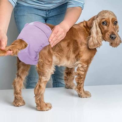 1pc High Absorbent Doggie Puppy Nappies Adjustable Pet Panties for Small Medium Large Girl Dogs Reusable Female Dog Diapers Washable Pet Products
