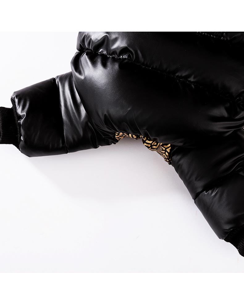 Graphene Black & Gold Hooded Down Jacket for Small Dogs & Cats - Autumn/Winter Pet Clothing