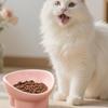 Large Diameter Neck Protection Bowl Anti-knock Pet Food Bowl Elevated Cat Bowl  for Pets Cats Dogs