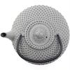 Cast Iron Tea Set Kettle 1.25L Steel Strainer Gray