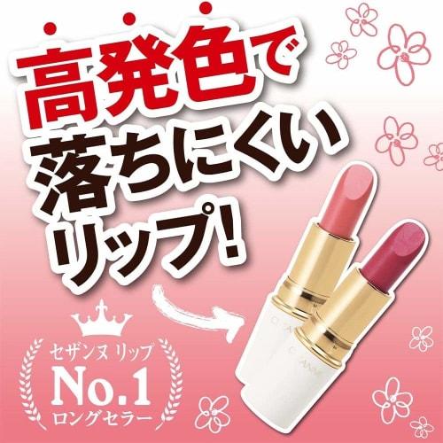 CEZANNE Lasting Lip Color N 105 Brown 4.2g Lipstick
