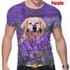 Fashion Short-sleeved Cute Dog 3D Printed T-shirt Golden Retriever Fashion Casual Man T-shirt Shirt