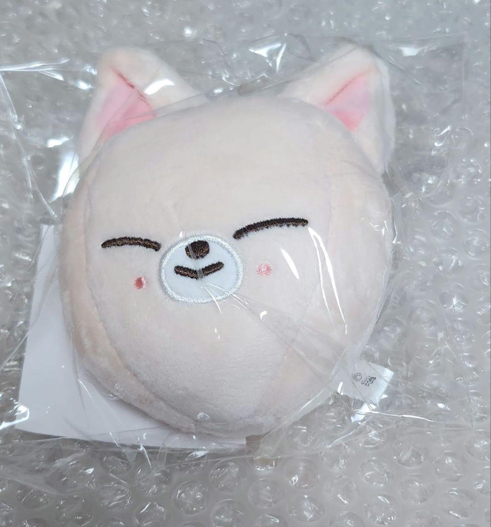 

[USED] Stray Kids 5-STAR Dome Tour 2023 Charm