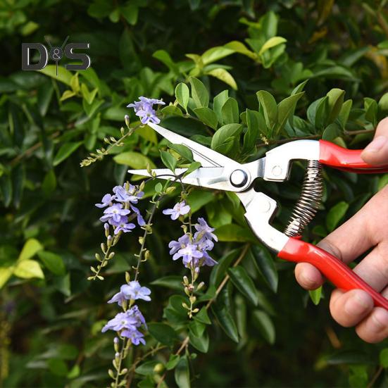 Pruning Scissors High Hardness Sharp Blade Stainless Steel Fruit Trees Branch Pruning Shears Home Supplies