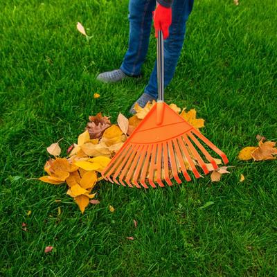 Greblă de grădină anti-alunecare Instrument pentru extragerea buruienilor cu design lung și reglabil cu mâner Instalare ușoară Aplicație largă Greblă mare pentru frunze