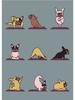 Modern Funny Cute Bulldog Cat Panda Yoga Gesture Poster And Print Canvas Painting Animal Nordic Wall Art Nursery Kidroom Decor