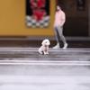 1/64 Scale Resin Pet Statue 3D Print Dog/Cats Shape Figurine Handmade Miniature Model Ideal For Home Display