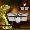 Gecko Feeder Ledge with Detachable Suction Cup Reptile Feeding Dish for Lizard Tortoise Spider Reptile Tank Accessories