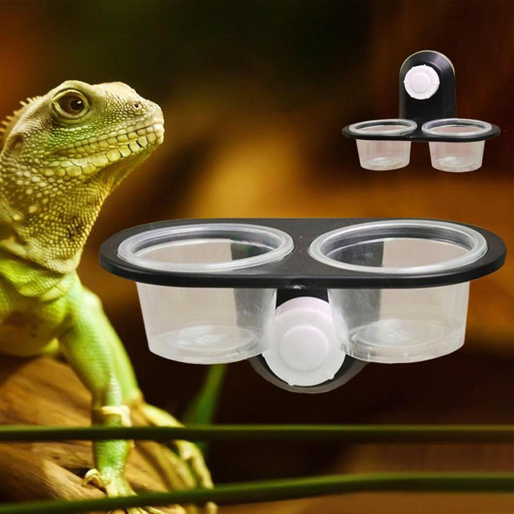 Gecko Feeder Ledge with Detachable Suction Cup Reptile Feeding Dish for Lizard Tortoise Spider Reptile Tank Accessories