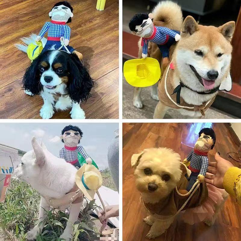Pet Puppy Clothes Dog Coat Hat Clothing Dog Jacket Funny Cowboy Doll Pet Clothes