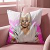 Singer R-RuPaul Cushion Cover Multi-Scene Pillow Cover for Home & Car - Reversible, Soft & Durable for Daily Use