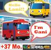Tayo Origine Corea Modello-The Little Bus Tayo Special Friends Veicoli Set 4 Pezzi (Tayo Gani Lani Rogi)