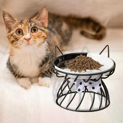 Cat Bowl, Ceramic Pet Bowls, Tilted Raised Stand and Water, Food Dish Feeder, Perfect for Puppy