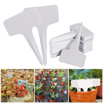 50/100 Pcs White PVC T-Type Plant Tags for Garden Labeling - 6x10 Cm