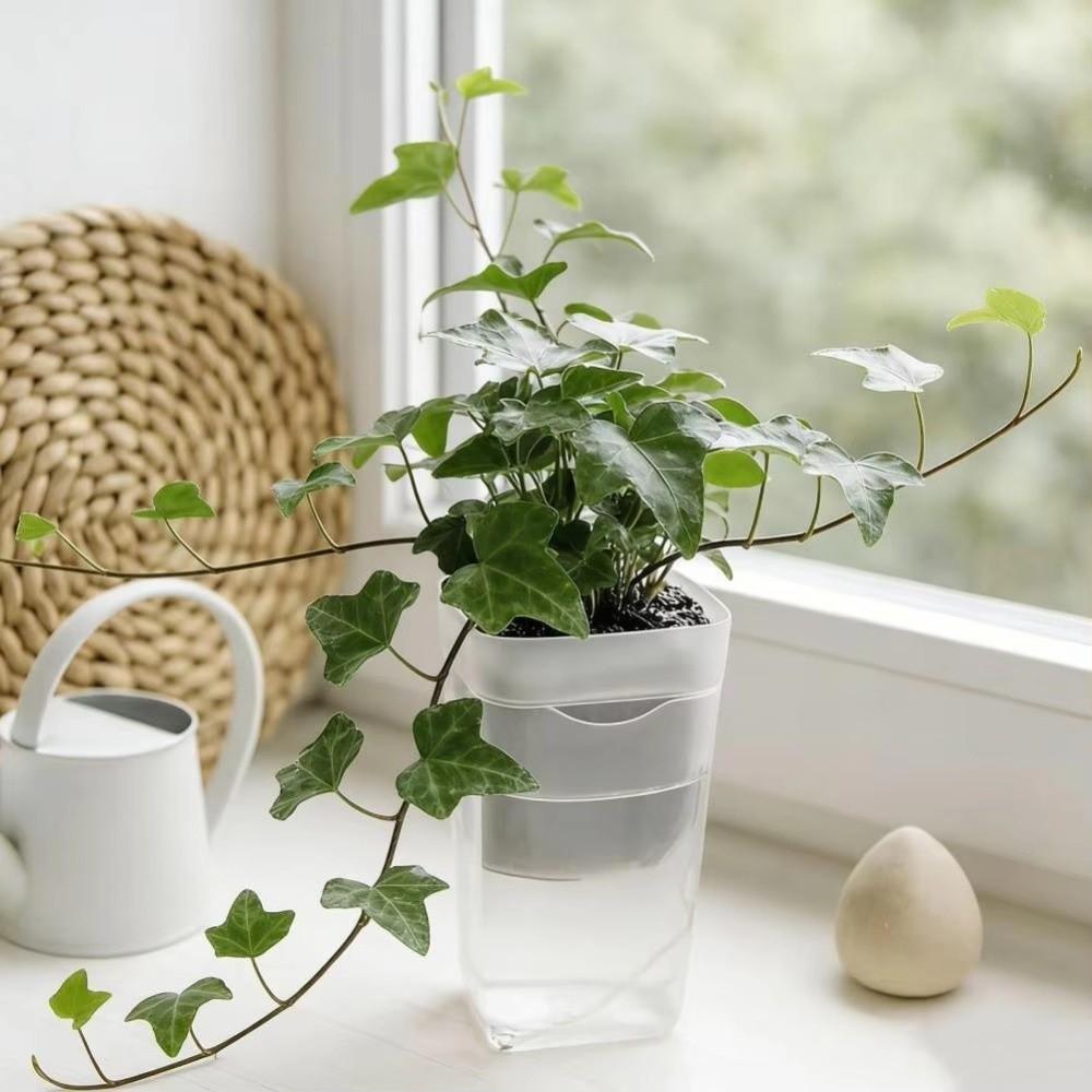 12 Set Drainage Holes Automatic Watering Planter Seedling Plant Pot  Gardening Accessories