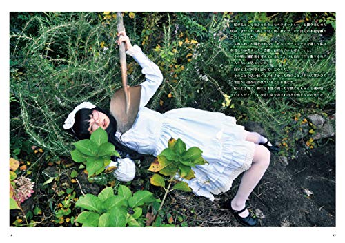 The Comet That Isn't Yet Visible (TH ART SERIES)