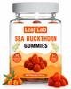 Sea Buckthorn Gummies for Kids & Adults -Real Fruit Pulp with Vitamin C, Zinc & Omega 3,6,7,9 | Immunity, Skin, Hair & Gut Health Support | WHO-GM