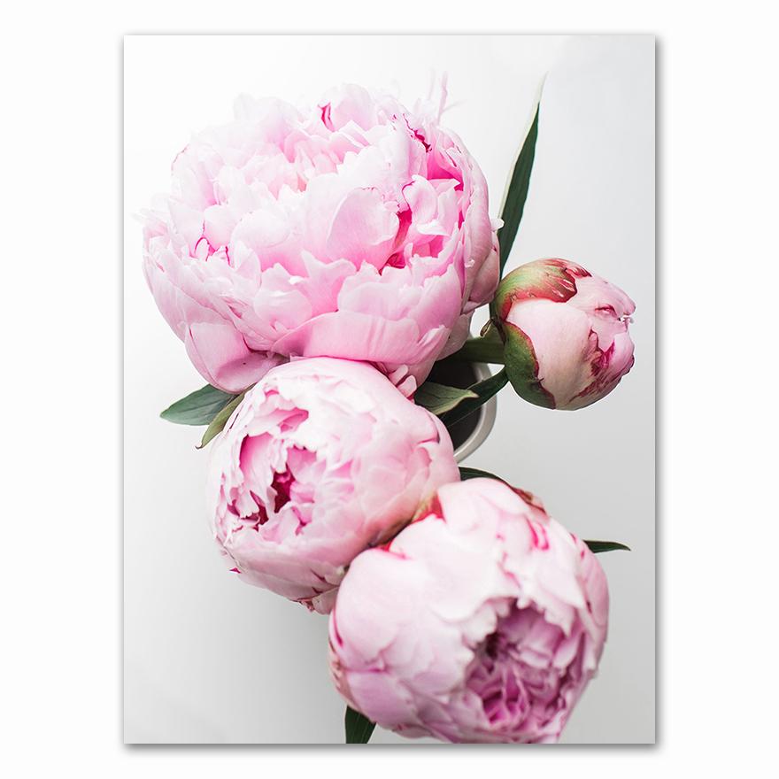 Canvas Painting Elegant Peony Flower Phrase Poster And Print Wall Art Picture For Living Room Home Decoration Nordic Decor