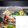 Transparent Acrylic Aquarium Fish Feeding Ring With Easy Installation Suction Cup Prevents Food Drift and Waste 23x23CM
