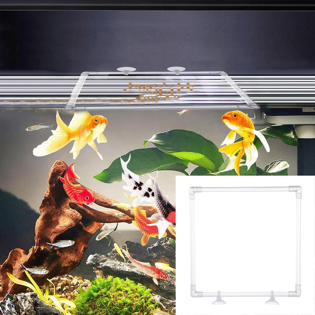 Transparent Acrylic Aquarium Fish Feeding Ring With Easy Installation Suction Cup Prevents Food Drift and Waste 23x23CM