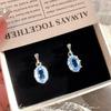 Elegant Simple Light Luxury Round Earrings for Women