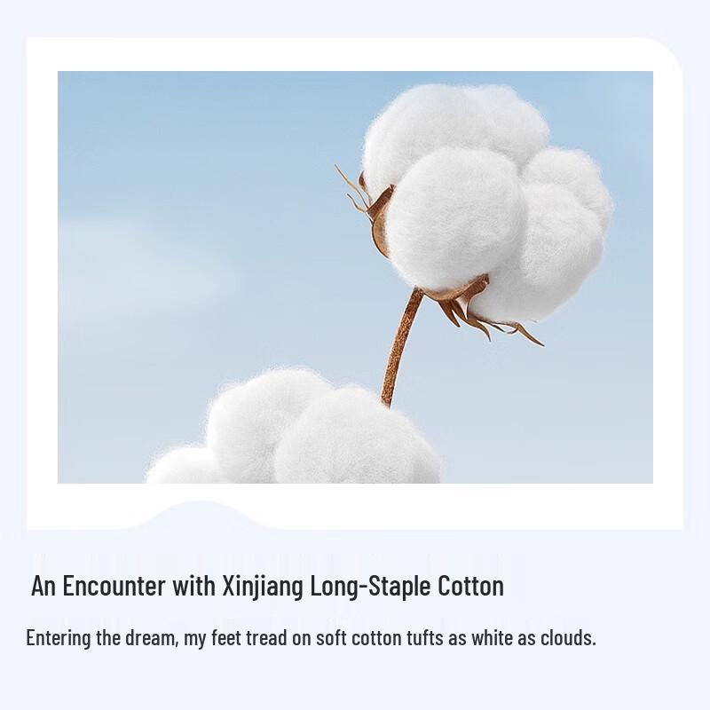 MINISO 100% Xinjiang Baumwoll-Steppdecke