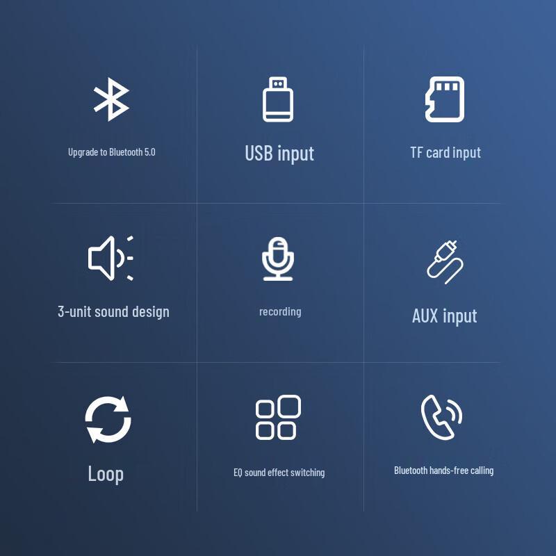 Aigo T115 Deluxe Portable Bluetooth KTV Speaker