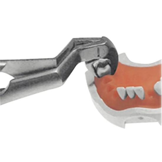 GDC Extraction Forceps Lower Molars And Wisdoms Right - Standard (Fx22 1/2rs)