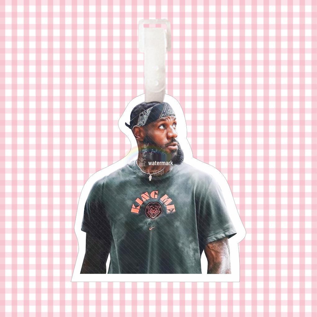LeBron James NBA Backpack Tag & Keychain Ornament