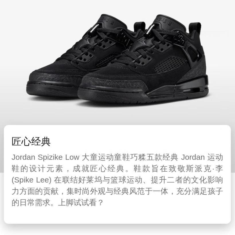 Jordan Spizike Low top Basketball Shoes