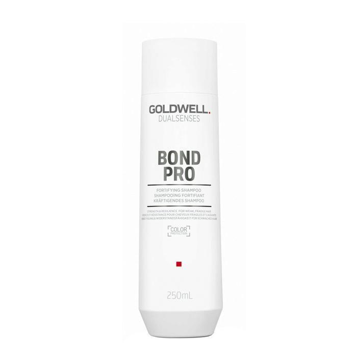 Goldwell Ds Bp Shampoo 250 Ml