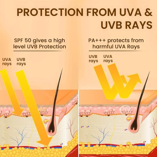The Skin Story Moringa Sunscreen SPF 50 | Broad Spectrum UVA & UVB Protection | For Men and Women | Anti-Aging Formula  | for All Skin Types 40g