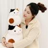Non-Toxic Kawaii Animal Round Cat Plush Toys Chubby Creative Cats Dolls Cute Birthday Gifts Room Decoration