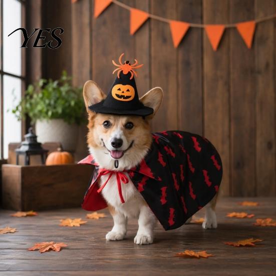 Cat Costume with Hat 1 Set Pet Halloween Costume, Spider Pumpkin Wizard And Outfit Double-Sided Bat Print Cape, Holiday Party for Cats Dogs Medium Dog