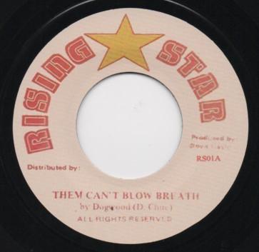 

7inch Record DOGWOOD - Them Can t Blow Breath NONE Rising Star 2015 UK Reggae, Ska & Dub Used