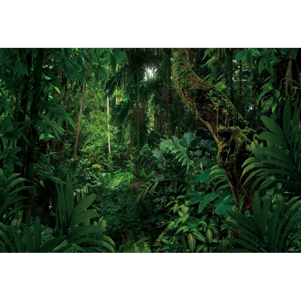 Spring Forest Backdrop Tropical Jungle Rainforest Backdrops for Photography Camping Adventure Birthday Background Photo Studio