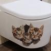 Cartone Animato Carino Gatto Muro Rotto Bagno Toilette Adesivi Murali Decorativi
