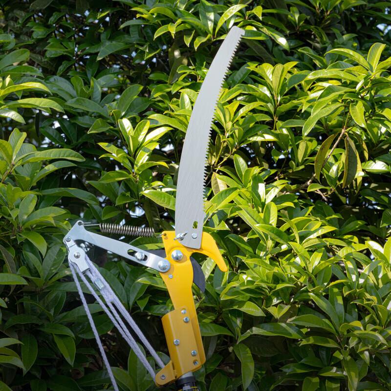 Deli K5 Ret retractable High Branch Pruner