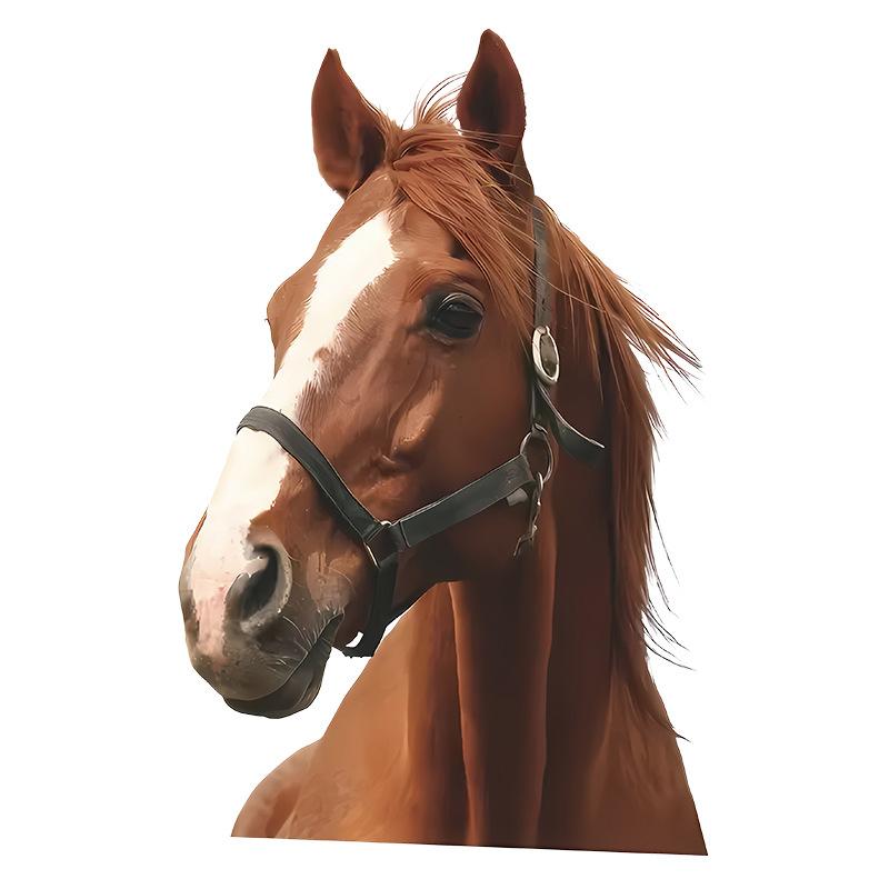 

Милые наклейки на стену с животными Лошадь Наклейки на унитаз Декор для ванной комнаты Самоклеящиеся виниловые наклейки для дома Детской комнаты Детской Съемные Отклеивающиеся 20x30CM разноцветный