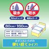 Hakujuji Salva Disposable Care Sheets, 6 Sheets, 80cm X 160cm, Blue