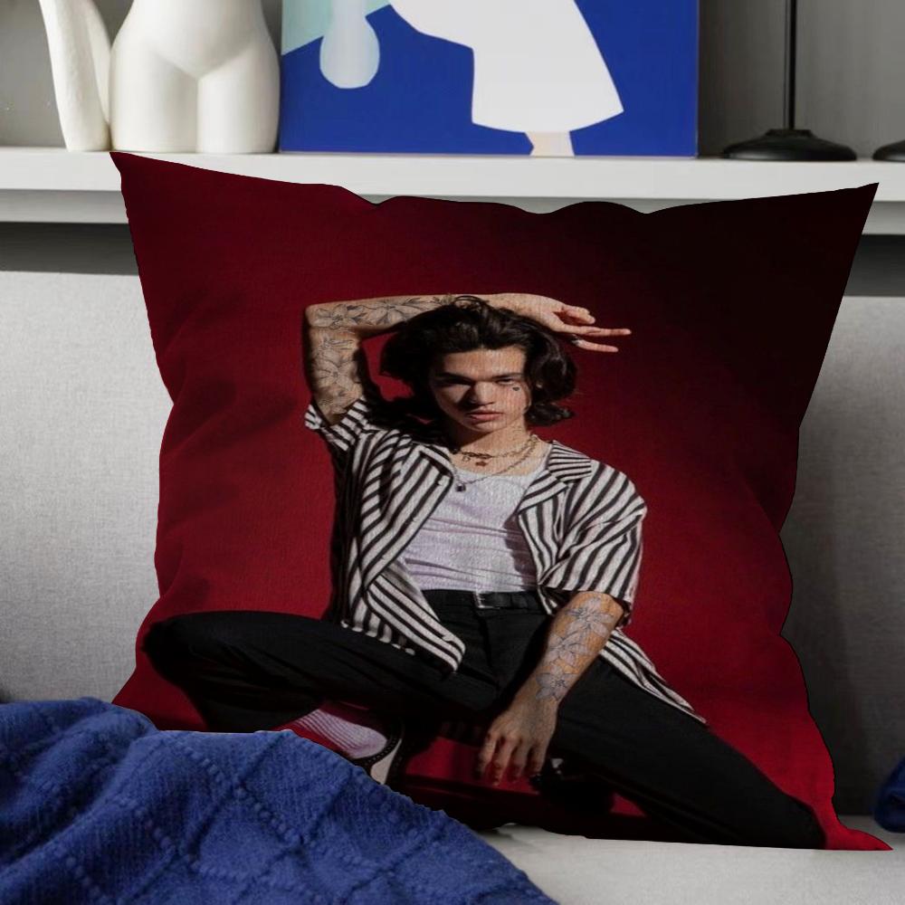 Pop Singer Conan Grays World Tour Decorative Room Aesthetics Pillow Case Home Decor Bedroom Sofa Bed Couch Pillow Cover 45x45
