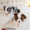 40/50cm Cute Collar Border Collie Plush Toy Simulated Pet Dog Plush Doll Soft Stuffed Animal Child Birthday Gift