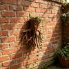 Maceta para Plantas de Árboles Impresa en 3D Soporte de Pared Maceta para Flores Hierbas Plantas Trepadoras Soporte Maceta Colgante Decoración de Jardín Interior Exterior Balcón Hogar