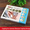 Illustrated TCM Therapy Guide 2-Book Sets