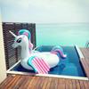 Giant Inflatable Pegasus Pool Float